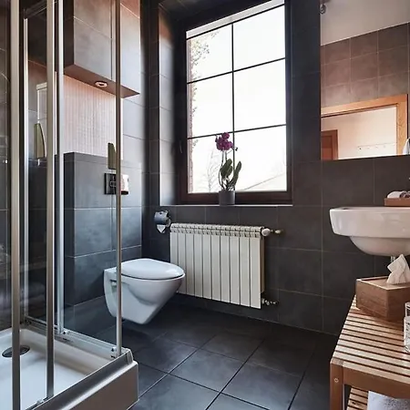 招待所 Sztygarka. Pod Wieza Katowice 4*